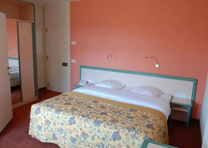 Hotel Les Tilleuls 3*